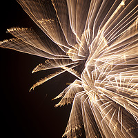 Buy canvas prints of Firework long exposure by Phil Wingfield