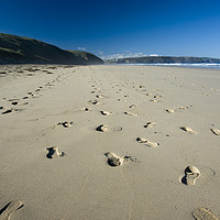 Buy canvas prints of Footprints in the Sand by Phil Wingfield