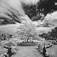 Buy canvas prints of Garden of the Cau Dai Cathedral nr Saigon by Phil Wingfield