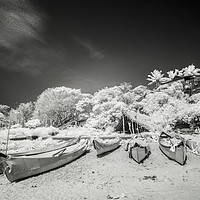 Buy canvas prints of Ulall Beach 2 by Phil Wingfield