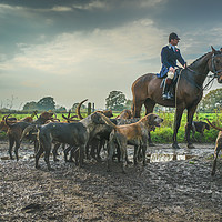 Buy canvas prints of Master of The Hunt by James Hare