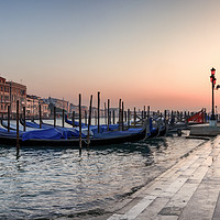 Buy canvas prints of Venice Glow  by Sue Holness