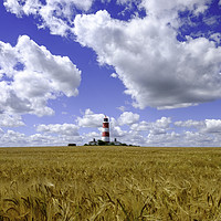 Buy canvas prints of Happisburgh Lighthouse, Norfolk by Adam North
