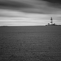 Buy canvas prints of Happisurgh Lighthouse Monochrome by Mark Hawkes