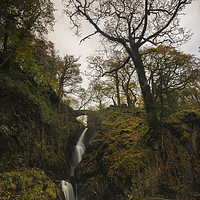 Buy canvas prints of Aira Force Falls Lake District by Mark Hawkes