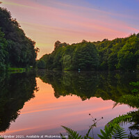 Buy canvas prints of Sunset at Moss Valley Country Park by Sebastien Greber
