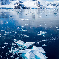 Buy canvas prints of Yalour Islands, Antarctic Peninsula  by Sebastien Greber