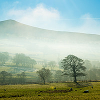 Buy canvas prints of Foggy Morning in North Wales by Sebastien Greber