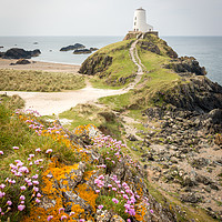 Buy canvas prints of Twr Mawr Lighthouse, Llanddwyn Island, Anglesey by Sebastien Greber