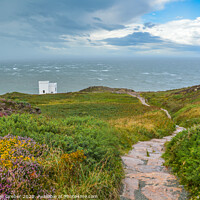 Buy canvas prints of Path to Elin's Tower on Holy Island by Sebastien Greber
