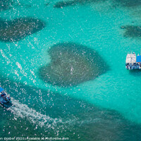 Buy canvas prints of Heart Shaped Coral Reef by Sebastien Greber