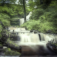 Buy canvas prints of Scaleber Foss by Mark Stephens