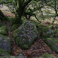 Buy canvas prints of Wistmans Wood Moss Circle #1 by Simon Maycock