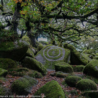 Buy canvas prints of Wistmans Moss Circle #3 by Simon Maycock