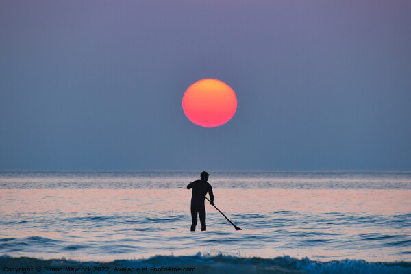 Polzeath  paddleboarder at sunset Picture Board by Simon Maycock