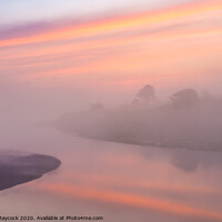 Buy canvas prints of Misty Camel Sunrise by Simon Maycock