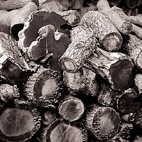 Buy canvas prints of Textures in Timber by Mike Roberts