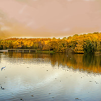 Buy canvas prints of Autumn over the lake by Mike Roberts