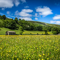 Buy canvas prints of Meadows of Muker by kevin cook