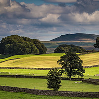 Buy canvas prints of Hills and Walls by kevin cook