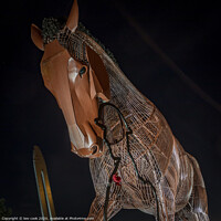 Buy canvas prints of War Horse by kevin cook