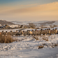 Buy canvas prints of Arkengarthdale in the Snow by kevin cook