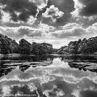 Buy canvas prints of Reflections of a lake. by kevin cook