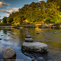 Buy canvas prints of Stepping stones by kevin cook