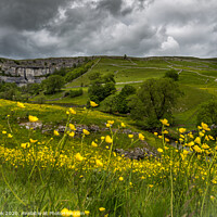 Buy canvas prints of Malham cove by kevin cook