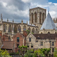 Buy canvas prints of Minster gardens by kevin cook