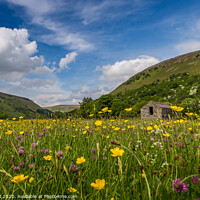 Buy canvas prints of wildflower meadows by kevin cook