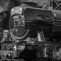 Buy canvas prints of Steamy Scotsman by kevin cook
