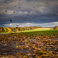 Buy canvas prints of Autumn winds by kevin cook