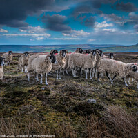 Buy canvas prints of Grinton locals by kevin cook
