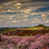 Buy canvas prints of Roseberry heather by kevin cook