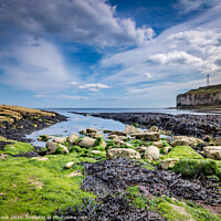 Buy canvas prints of Seaweed at flamborough by kevin cook