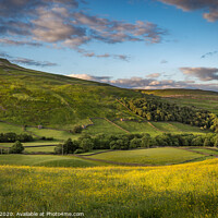 Buy canvas prints of Swaledale buttercups by kevin cook