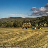 Buy canvas prints of Wildflower bales by kevin cook