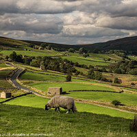 Buy canvas prints of Thwaite view by kevin cook