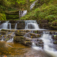 Buy canvas prints of Scalebar force by kevin cook