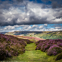 Buy canvas prints of Heather Path by kevin cook