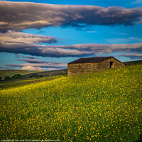 Buy canvas prints of Buttercup Barn by kevin cook