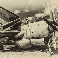Buy canvas prints of Fairey Gannet by kevin cook