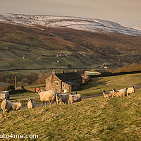 Buy canvas prints of Hill farm - Pano by kevin cook