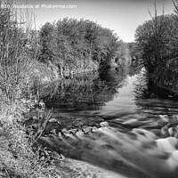 Buy canvas prints of By The Riverbank by Mark Dobson
