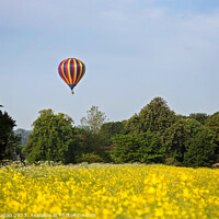 Buy canvas prints of "Serenity Soaring: Hot Air Balloon Gracefully Floa by Ian Flanagan