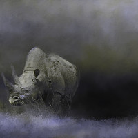 Buy canvas prints of Rhino wanders the Ngorongoro Crater by David Owen