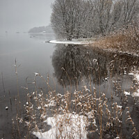 Buy canvas prints of Derwent Water Grasses by Phil Buckle