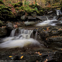 Buy canvas prints of Barrow Beck Falls by Phil Buckle
