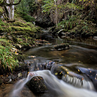 Buy canvas prints of Early Autumn colours at Aira Beck by Phil Buckle